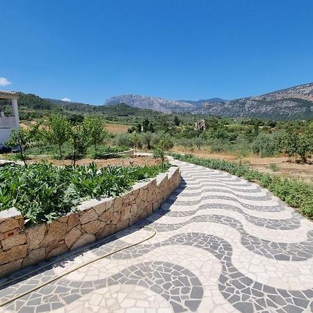 Villa Biriculi دورغالي المظهر الخارجي الصورة