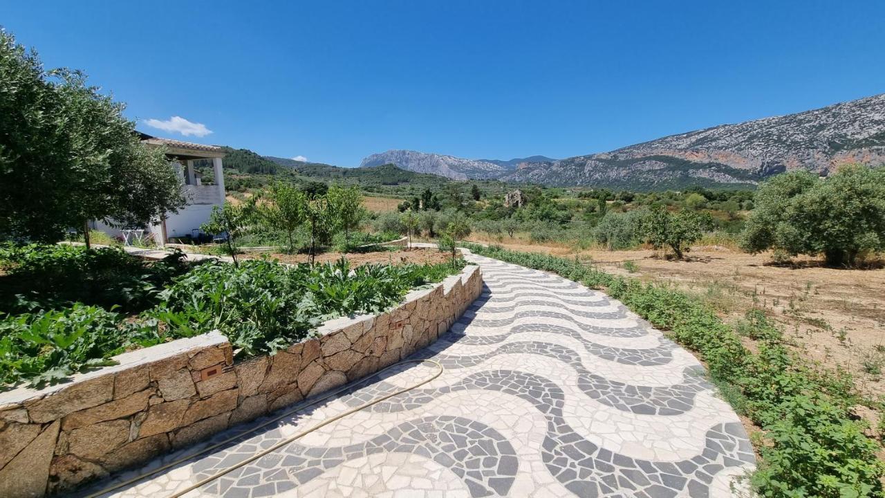 Villa Biriculi دورغالي المظهر الخارجي الصورة