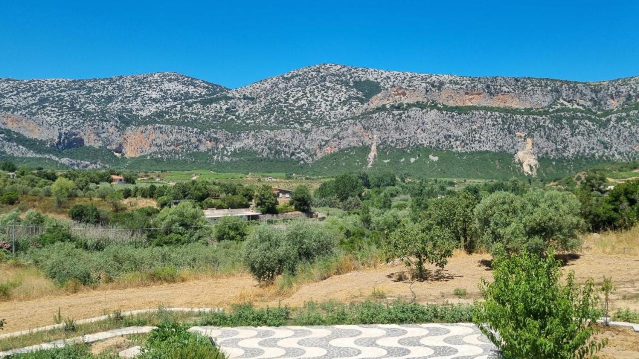 Villa Biriculi دورغالي المظهر الخارجي الصورة